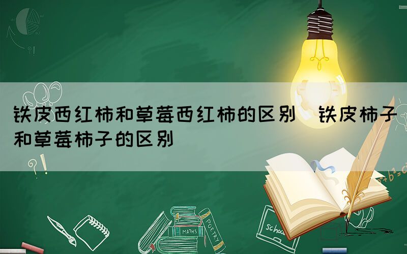 铁皮西红柿和草莓西红柿的区别（铁皮柿子和草莓柿子的区别）